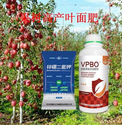 為峰肥業 專注花芽分化與著色促進，引領生物肥料技術創新
