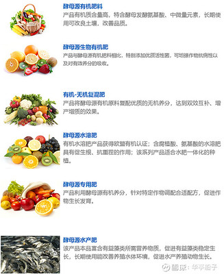 安琪酵母企業經營情況分析 生物肥料板塊的潛力與挑戰
