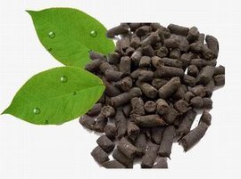 微生物肥料與生物制劑 綠色農業的未來引擎