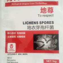 2019年生物肥料行情分析 價格走勢與批發報價參考