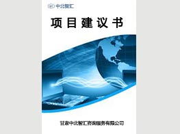 中北智匯咨詢 專業(yè)項(xiàng)目建議書撰寫服務(wù)，性價(jià)比與質(zhì)量兼具