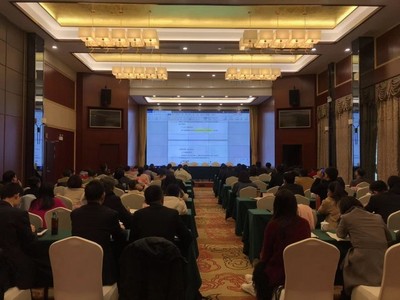 我市召開地方政府非標專項債項目策劃咨詢與申報工作推進會 搶抓政策機遇 夯實發展基礎