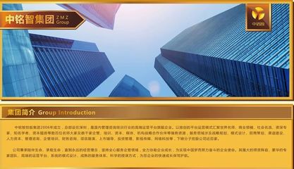 《中銘智控股 深圳項目策劃咨詢的龍頭力量深究》