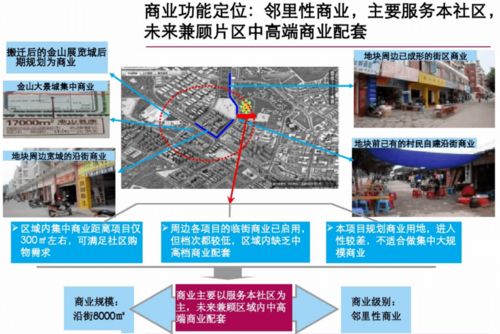 鉑悅·棲境”——高定都會生活樣板 精品住宅項目前期策劃方案