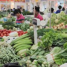 2016年我國(guó)將在部分省開(kāi)展食用農(nóng)產(chǎn)品合格證管理試點(diǎn)