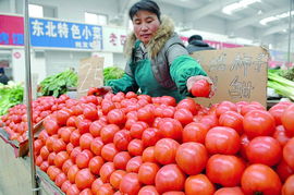 商務(wù)部 節(jié)后食用農(nóng)產(chǎn)品價(jià)格普遍回落