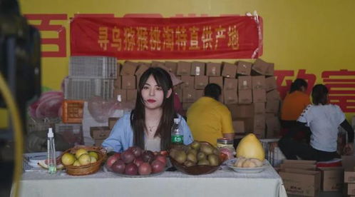 淘特 直 入縣域,靠短鏈打拼