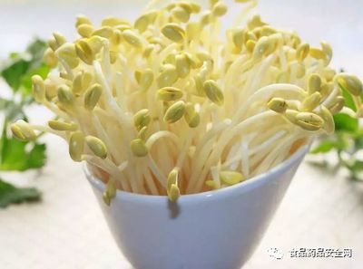 豆芽監(jiān)管職責(zé)分工;豆芽是屬于蔬菜(即食用農(nóng)產(chǎn)品)還是加工食品的定性爭(zhēng)議問(wèn)題?僅供參考