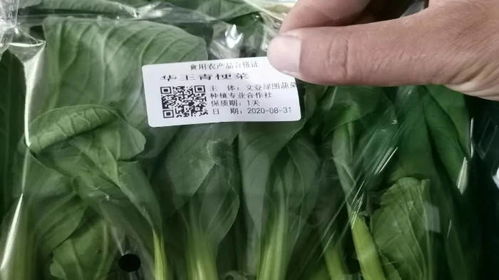 溯質(zhì)食用農(nóng)產(chǎn)品合格證 助力威海文登品牌興農(nóng)