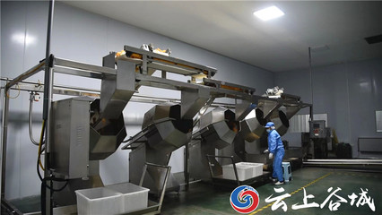 谷城石花鎮(zhèn):培育壯大特色農(nóng)產(chǎn)品深加工 推動(dòng)農(nóng)業(yè)產(chǎn)業(yè)鏈做大做強(qiáng)