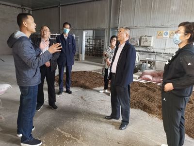 九三學(xué)社武威市委員會(huì)開(kāi)展武威市食用菌產(chǎn)業(yè)發(fā)展情況調(diào)研
