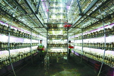 衢州市翔龍農(nóng)業(yè)栽培豬肚菇噴淋用水經(jīng)過(guò)反滲透膜過(guò)濾_中國(guó)膜工業(yè)協(xié)會(huì)
