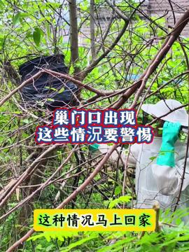 優(yōu)質(zhì)農(nóng)產(chǎn)品 食用菌產(chǎn)業(yè) 加油干就完了